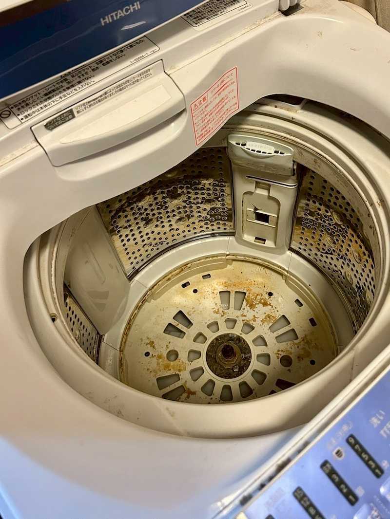 洗濯機を清掃する様子